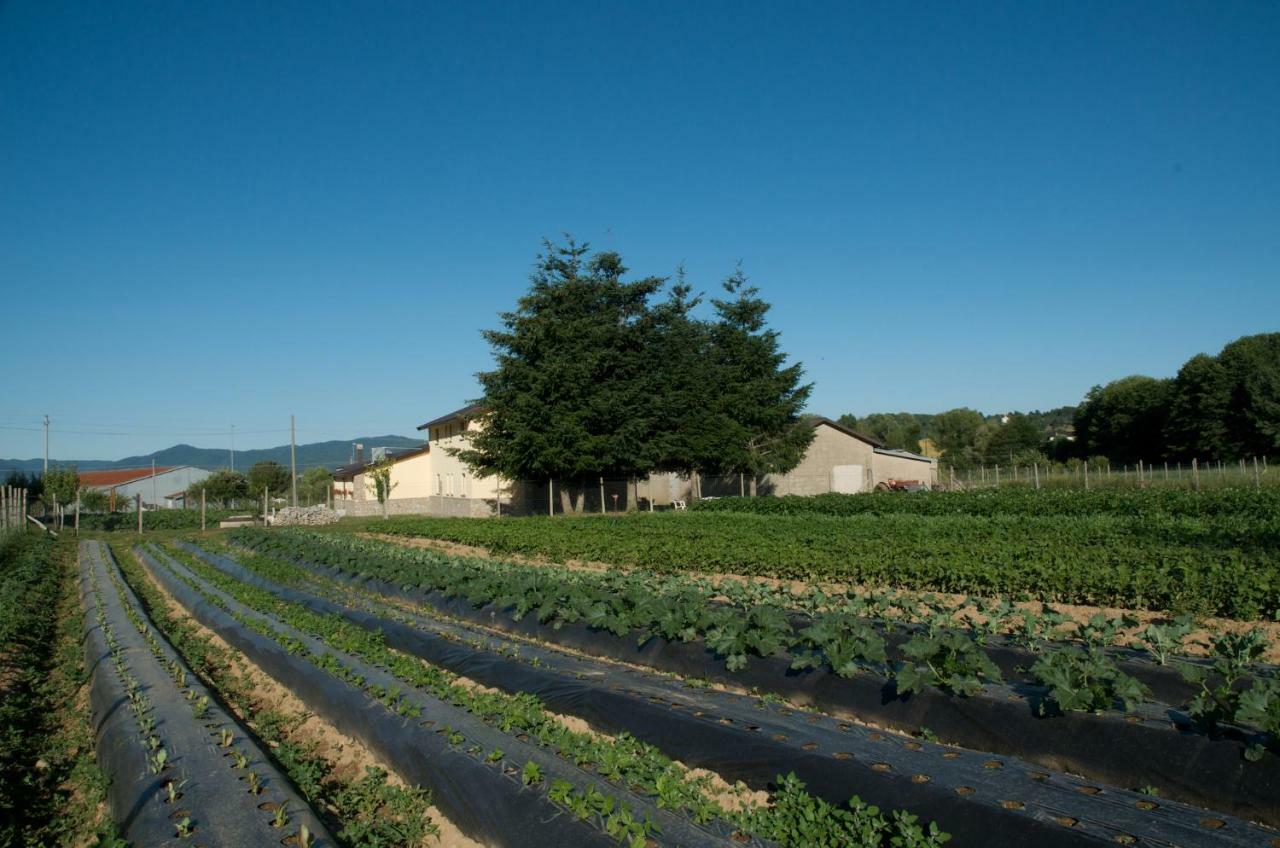 Agriturismo Fiorella Camigliatello Silano Exterior foto