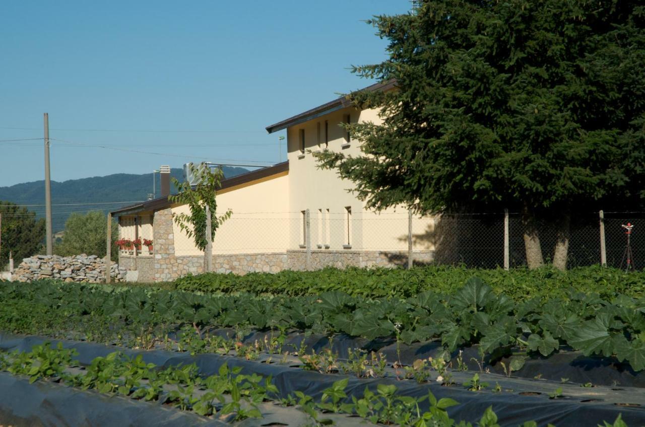 Agriturismo Fiorella Camigliatello Silano Exterior foto